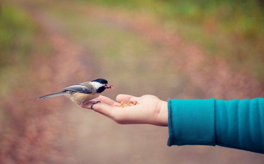 The cost of long-term care continues to rise