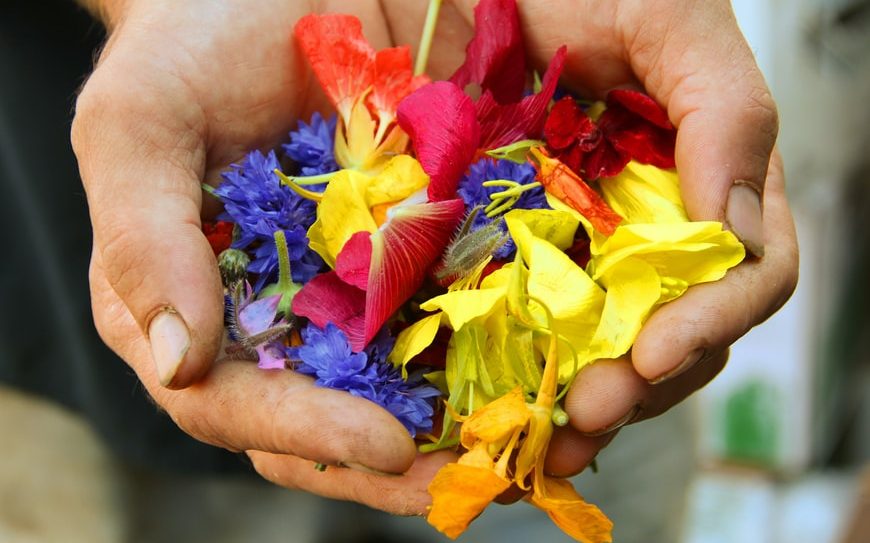 Effects of Tax Cuts and Jobs Act (TCJA) on Estate Planning